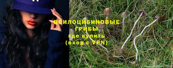 таблы Богородск